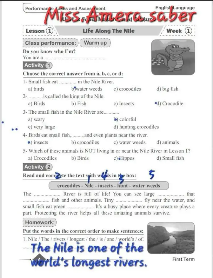 إجابة الأداء والتقييم الأسبوع الأول إنجليزي للصف الخامس الابتدائي 2026 الترم الأول